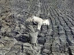 Kvinder og børn stod for tørringen. Nogle gange nåede tørvene ikke at tørre helt. Man skulle helst nå fire gange tørvehøst på en sæson. Når tørvene var våde opstod der en kvalmende og kvælende sødlig os i stuerne.